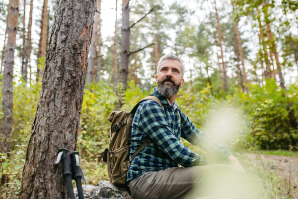 Handsome man standing in the middle of forest, observing the nature around him. Forestbathing concept.