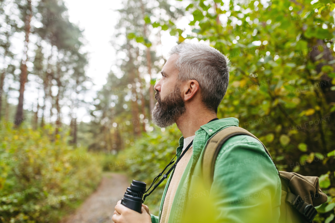 Handsome man watching wildlife with binoculars, enjoying peaceful atmosphere of forest, forestbathing.