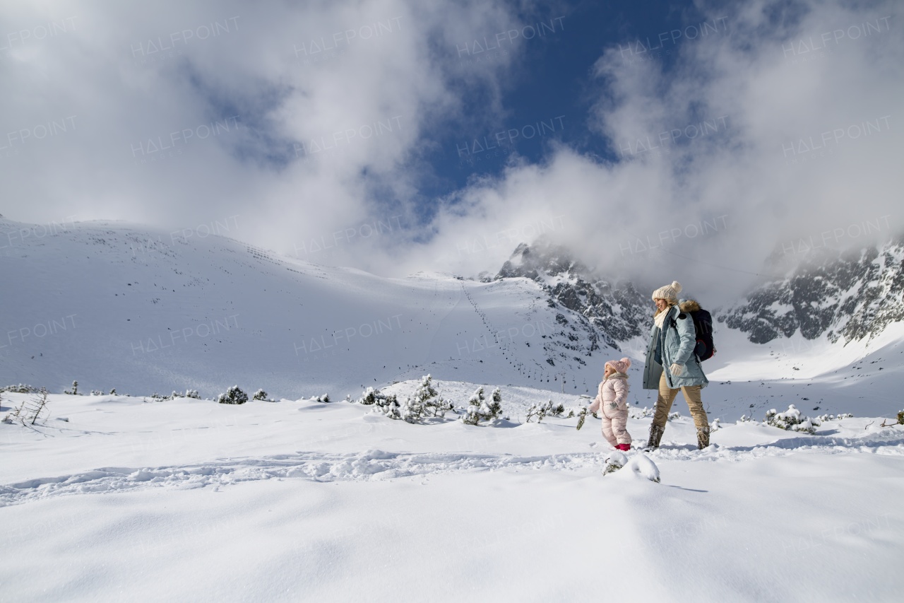 Mom and small girl walking through beautiful snowy nature. Family enjoying winter holiday in the mountains.