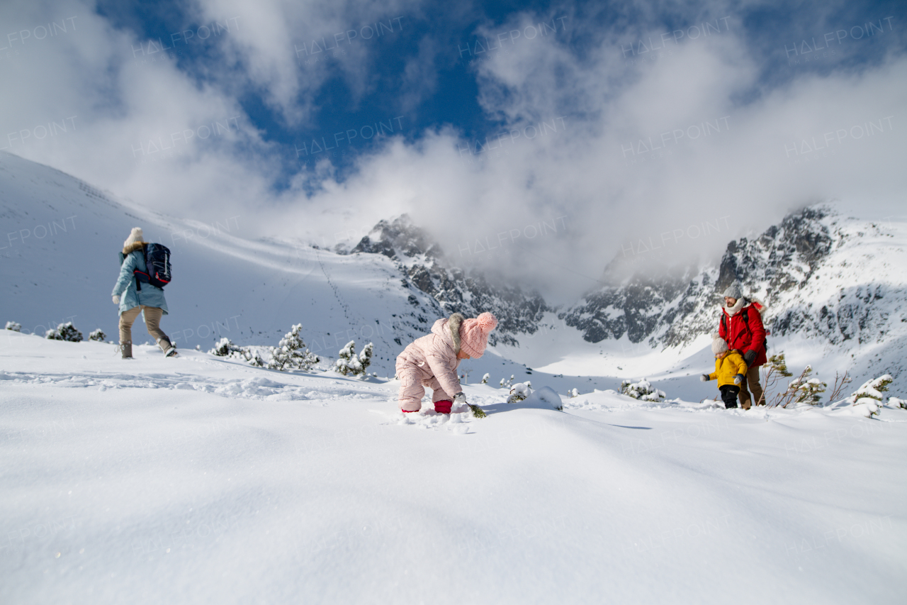 Family is enjoying winter holiday in the mountains, playing and walking through the snowy landscape.