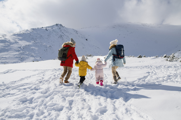 Family is enjoying winter holiday in the mountains, holding hands while walking through the snowy landscape.