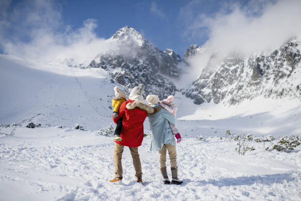 Family is enjoying winter holiday in the mountains, standing in the middle of snowy landscape.