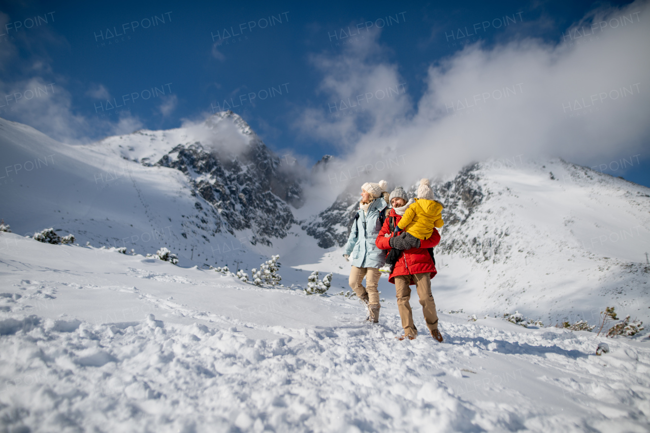 Family is enjoying winter holiday in the mountains, playing and walking through the snowy landscape.