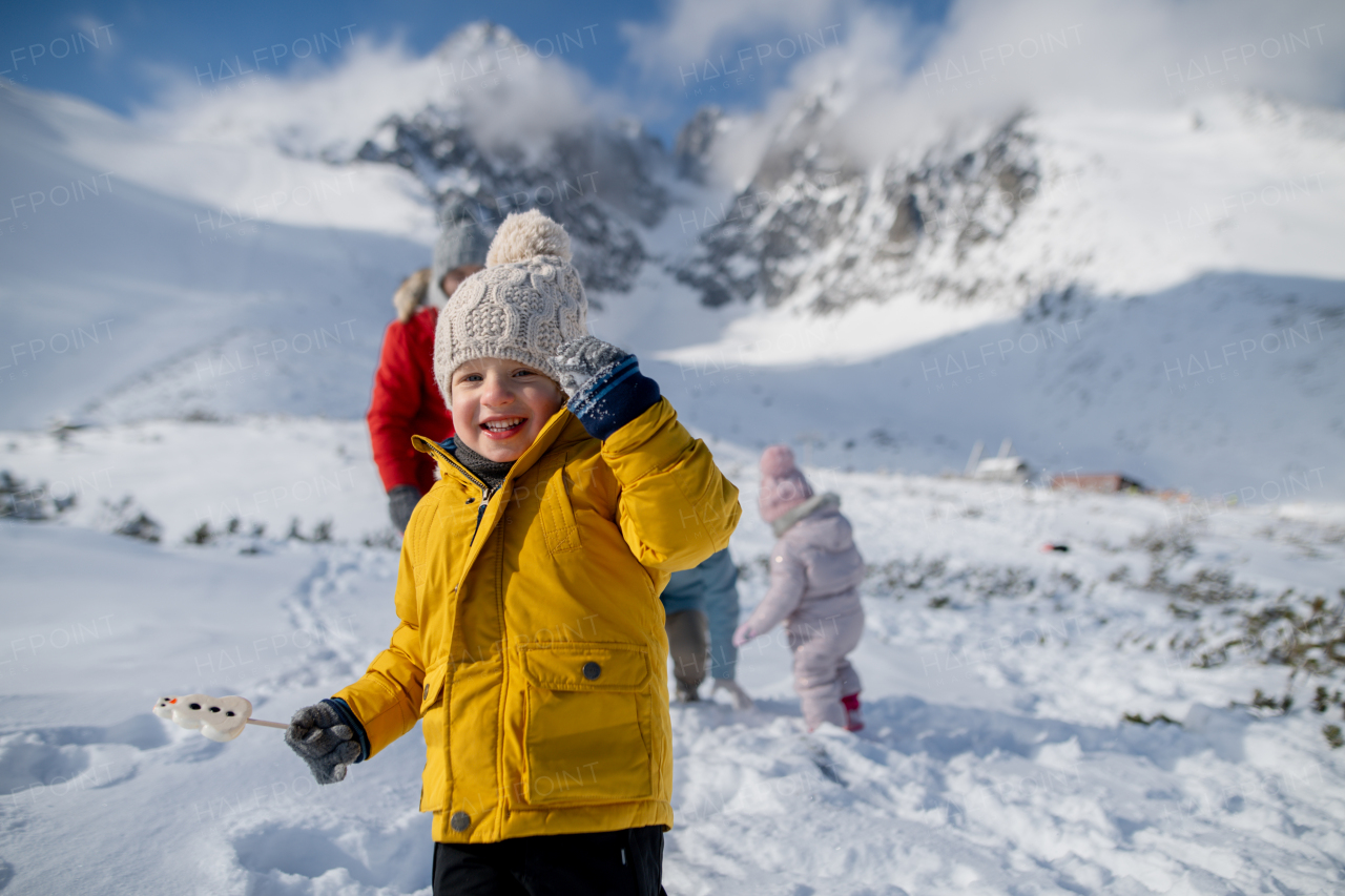 Portrait of a small boy enjoying winter holiday in the mountains with family, playing in snow, having snowball fight.