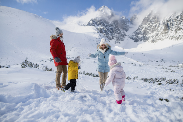 Family is enjoying winter holiday in the mountains, playing in snow, having snowball fight.