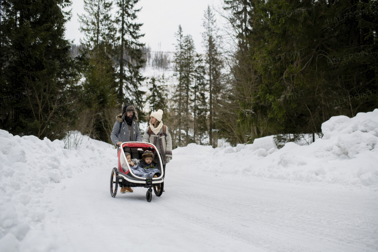 Family is enjoying winter holiday in the mountains. Parents pushing kids in wagon stroller through snowy nature.