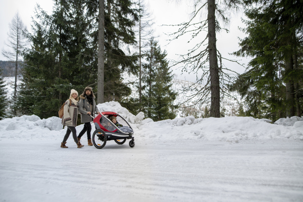 Family is enjoying winter holiday in the mountains. Parents pushing kids in wagon stroller through snowy forest.