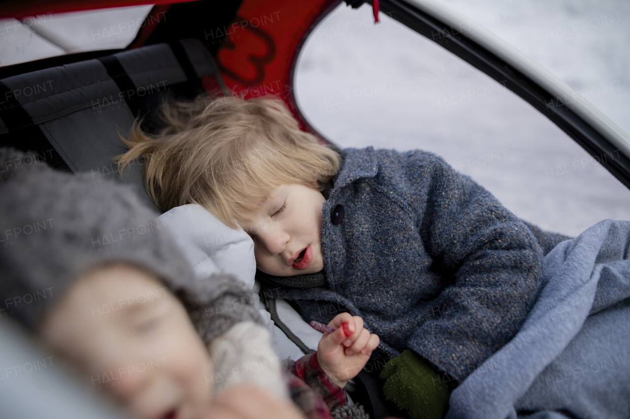 Winter holiday in the mountains. Sibligns sleeping in wagon stroller during walk in snowy forest