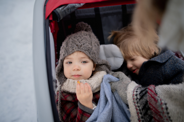 Family is enjoying winter holiday in the mountains. Parents pushing kids in wagon stroller through snowy forest.