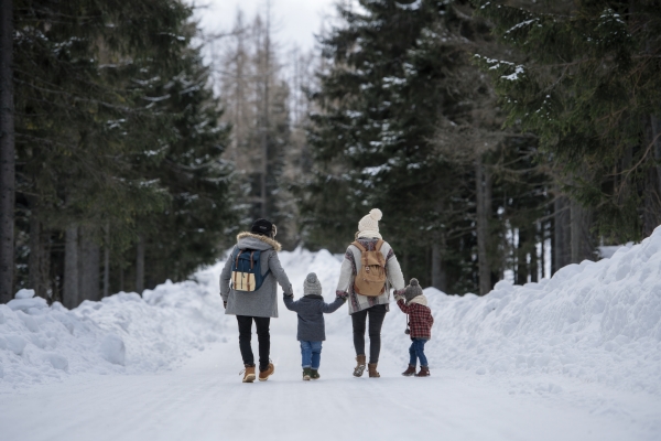 Rear view of family enjoying winter holiday in the mountains, holding hands while walking through the snowy forest.