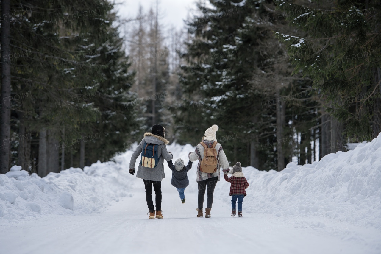 Family is enjoying winter holiday in the mountains, holding hands while walking through the snowy forest.