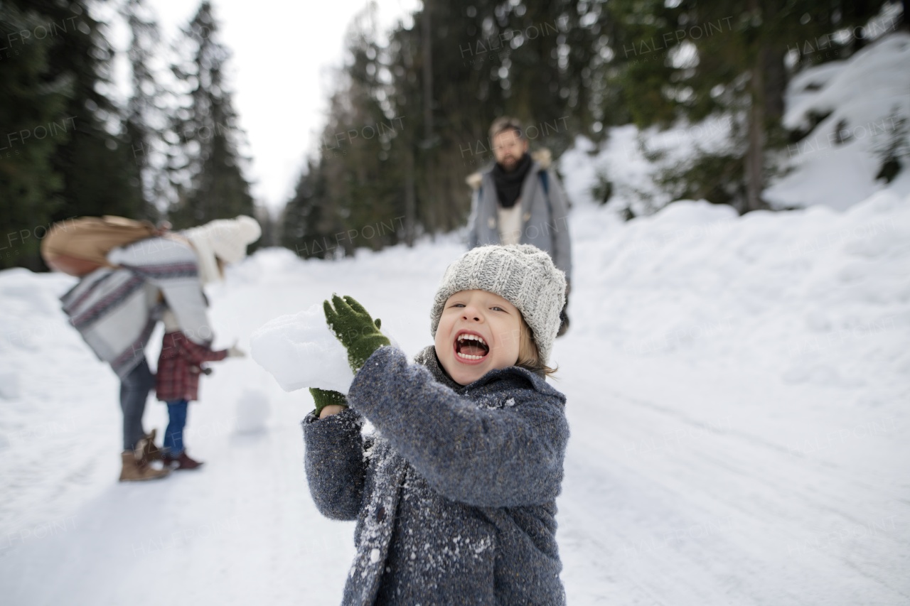 Portrait of a small boy enjoying winter holiday in the mountains with family, playing in snow, having snowball fight.