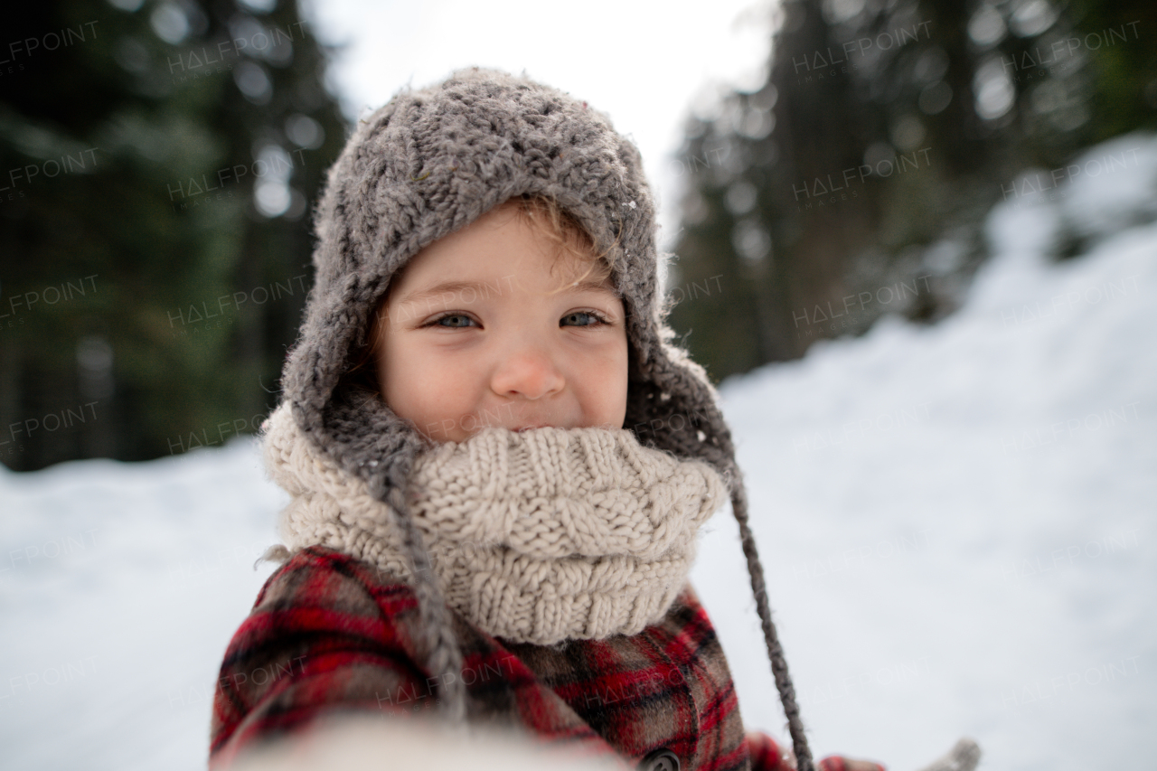 Portrait of a small girl enjoying winter holiday in the mountains with family, playing in snow.