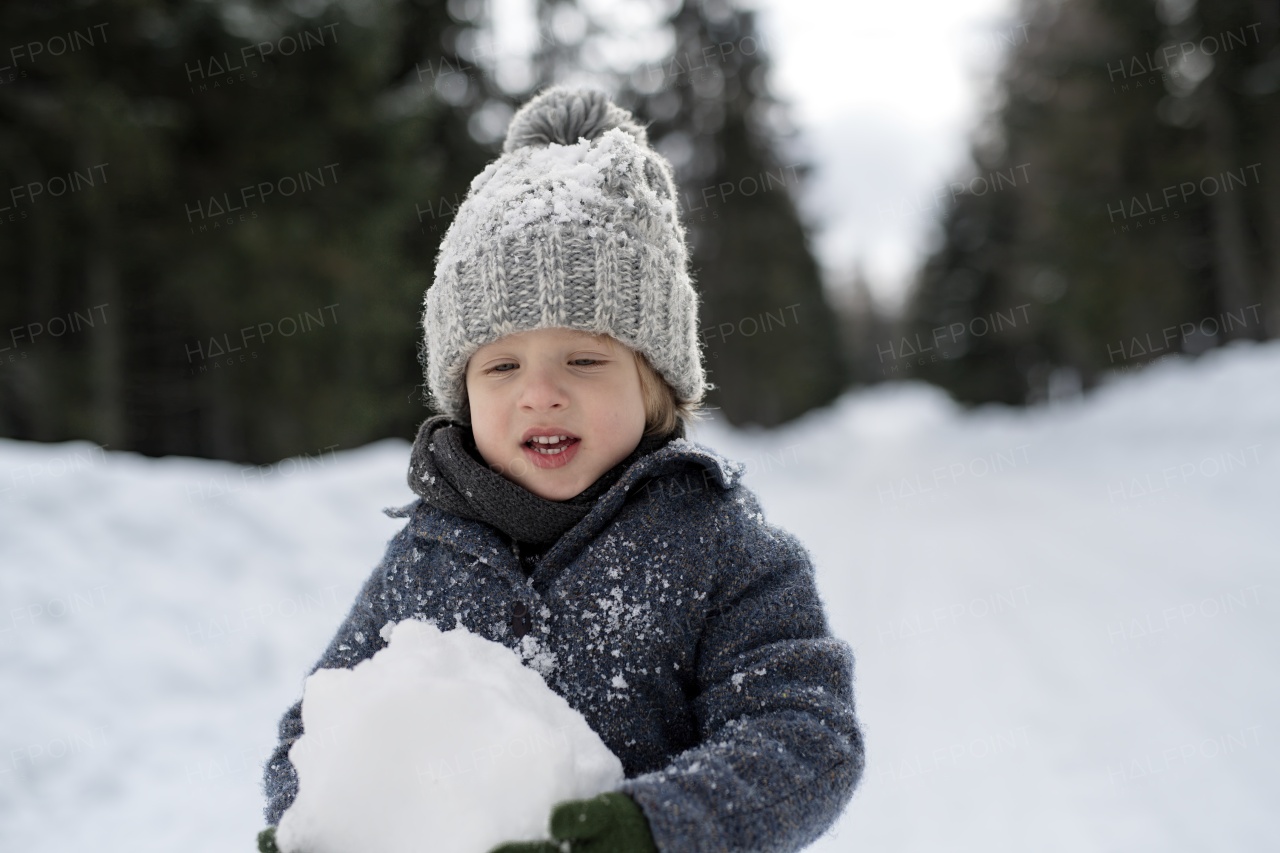 Portrait of a small boy enjoying winter holiday in the mountains with family, playing in snow.