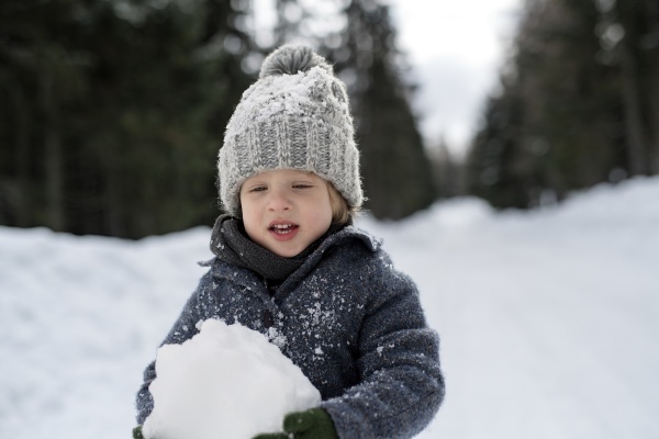 Portrait of a small boy enjoying winter holiday in the mountains with family, playing in snow.