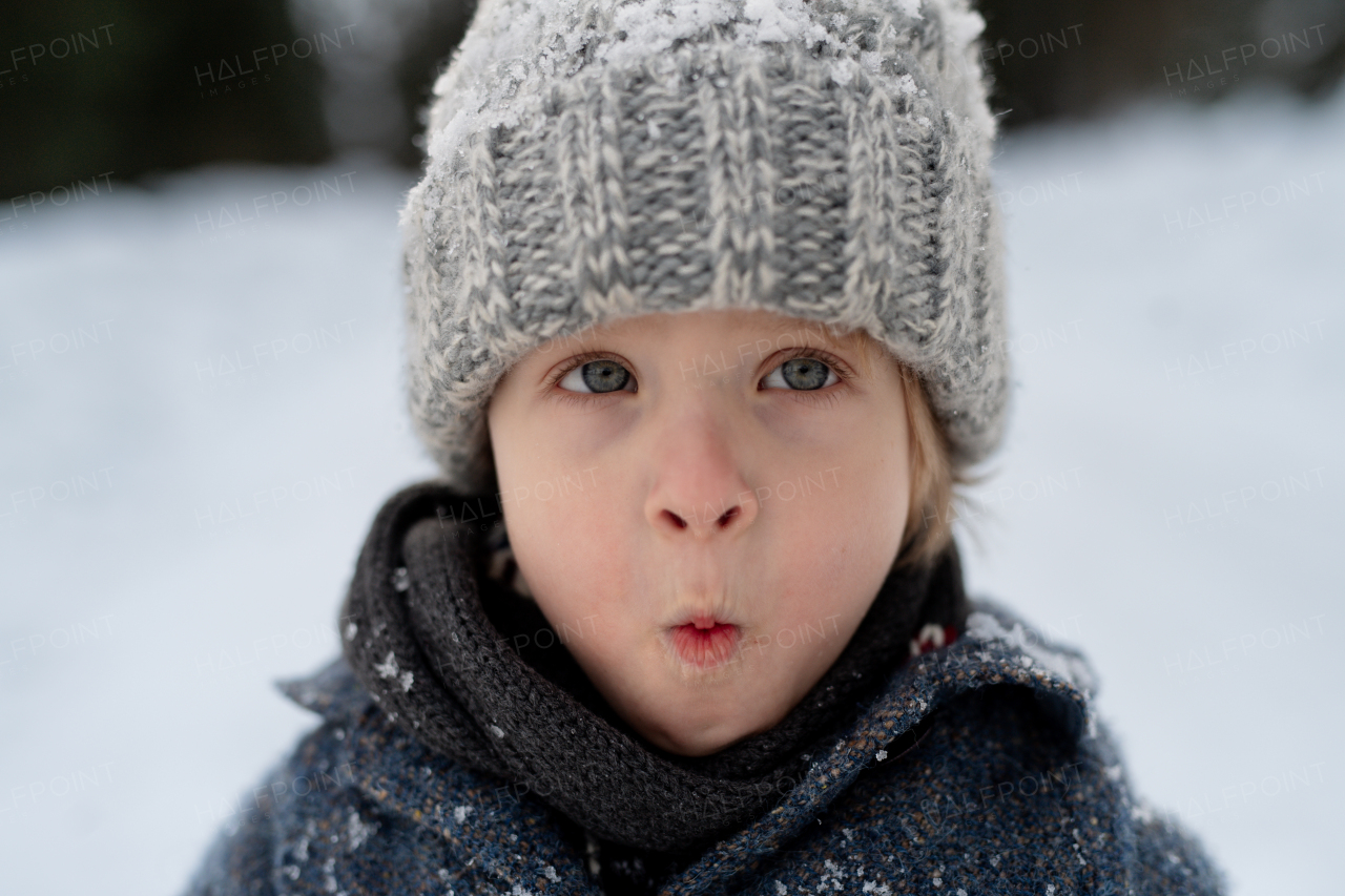 Portrait of a small boy enjoying winter holiday in the mountains with family, playing in snow.