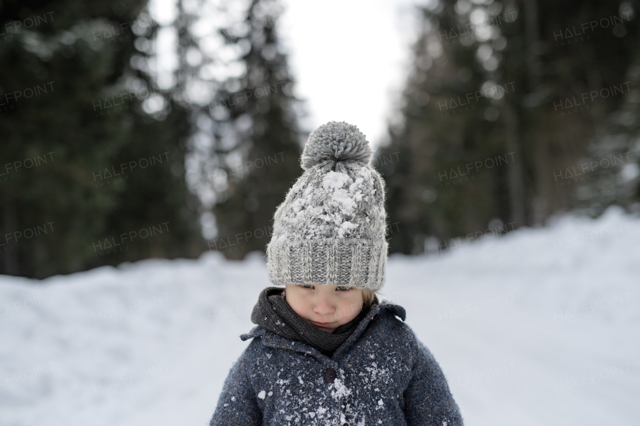 Portrait of a small boy enjoying winter holiday in the mountains with family, playing in snow.