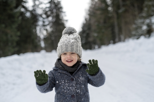 Portrait of a small boy enjoying winter holiday in the mountains with family, playing in snow.