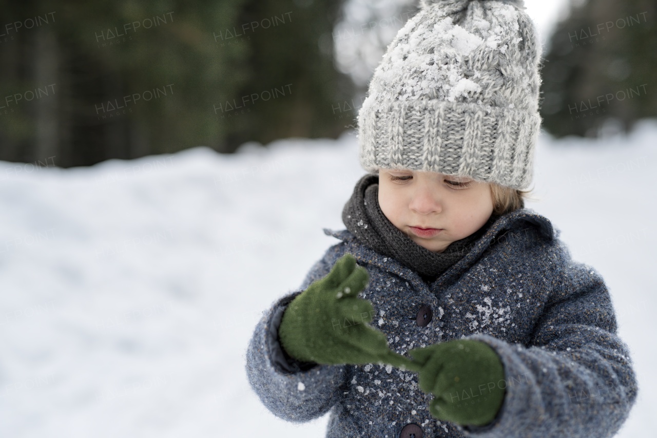 Portrait of a small boy enjoying winter holiday in the mountains with family, playing in snow.