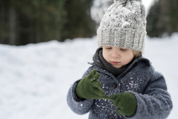 Portrait of a small boy enjoying winter holiday in the mountains with family, playing in snow.