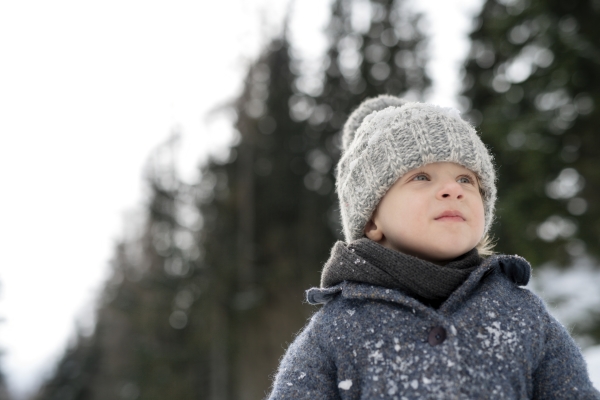 Portrait of a small boy enjoying winter holiday in the mountains with family, playing in snow.