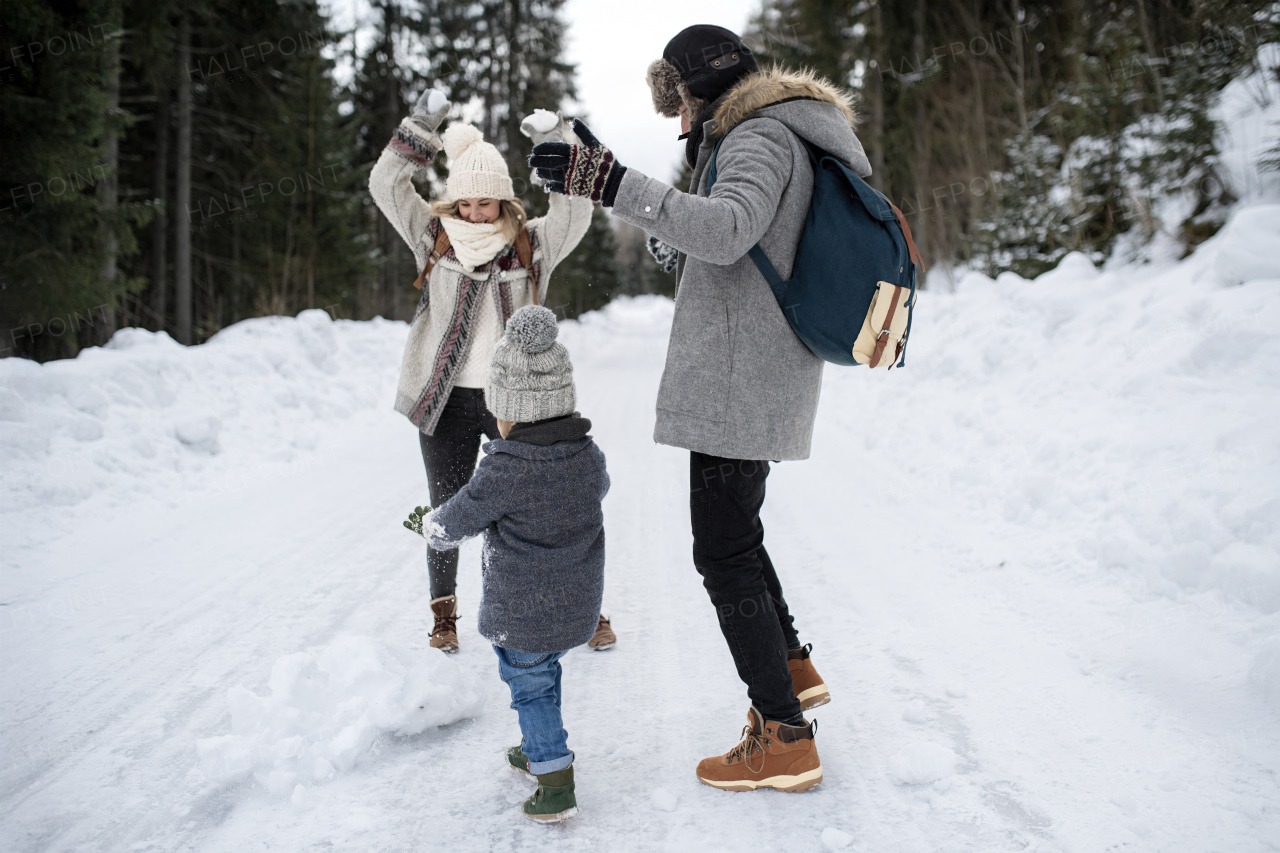 Portrait of a small boy enjoying winter holiday in the mountains with family, playing in snow, having snowball fight.