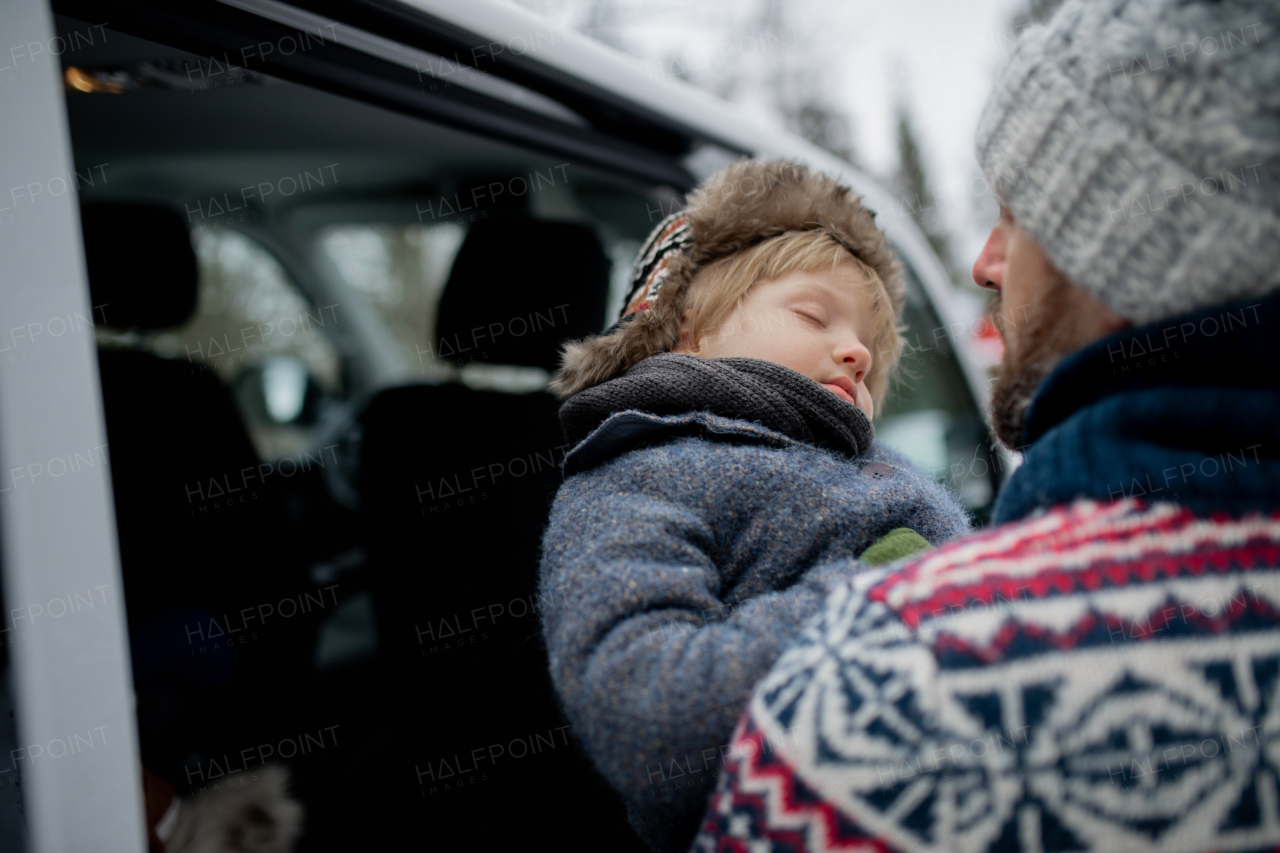 Father is putting his sleeping son into the car seat. The boy fell asleep from exhaustion after walk in nature.