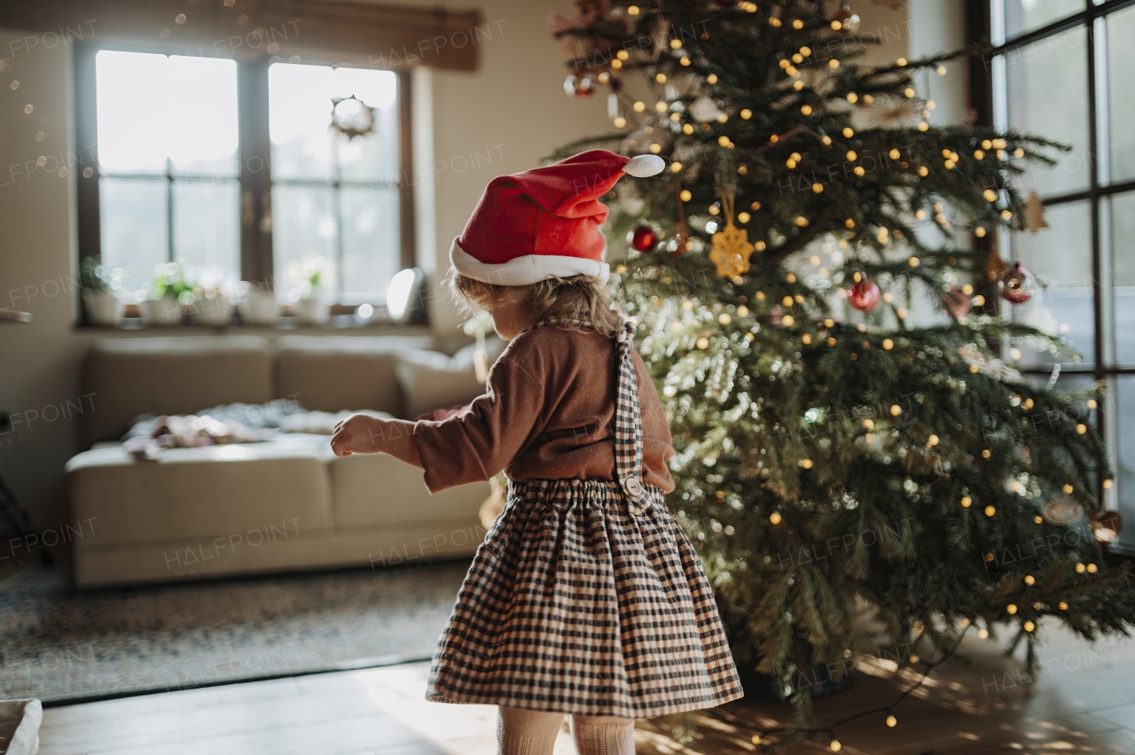 Portrait of cute girl in Santa's hat helping with decorating the Christmas tree with christmas ornaments.