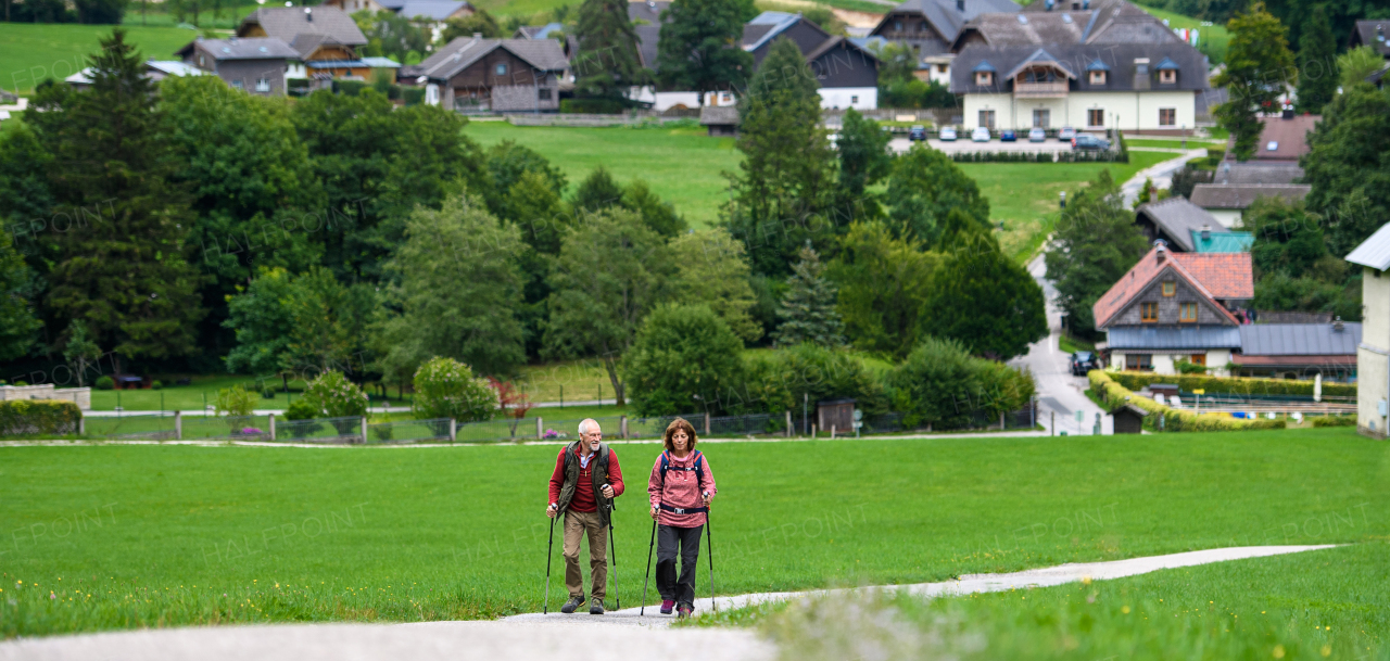 Portrait of active elderly couple hiking together in mountains. Senior tourists walking with trekking poles for stability. Banner with copy space.