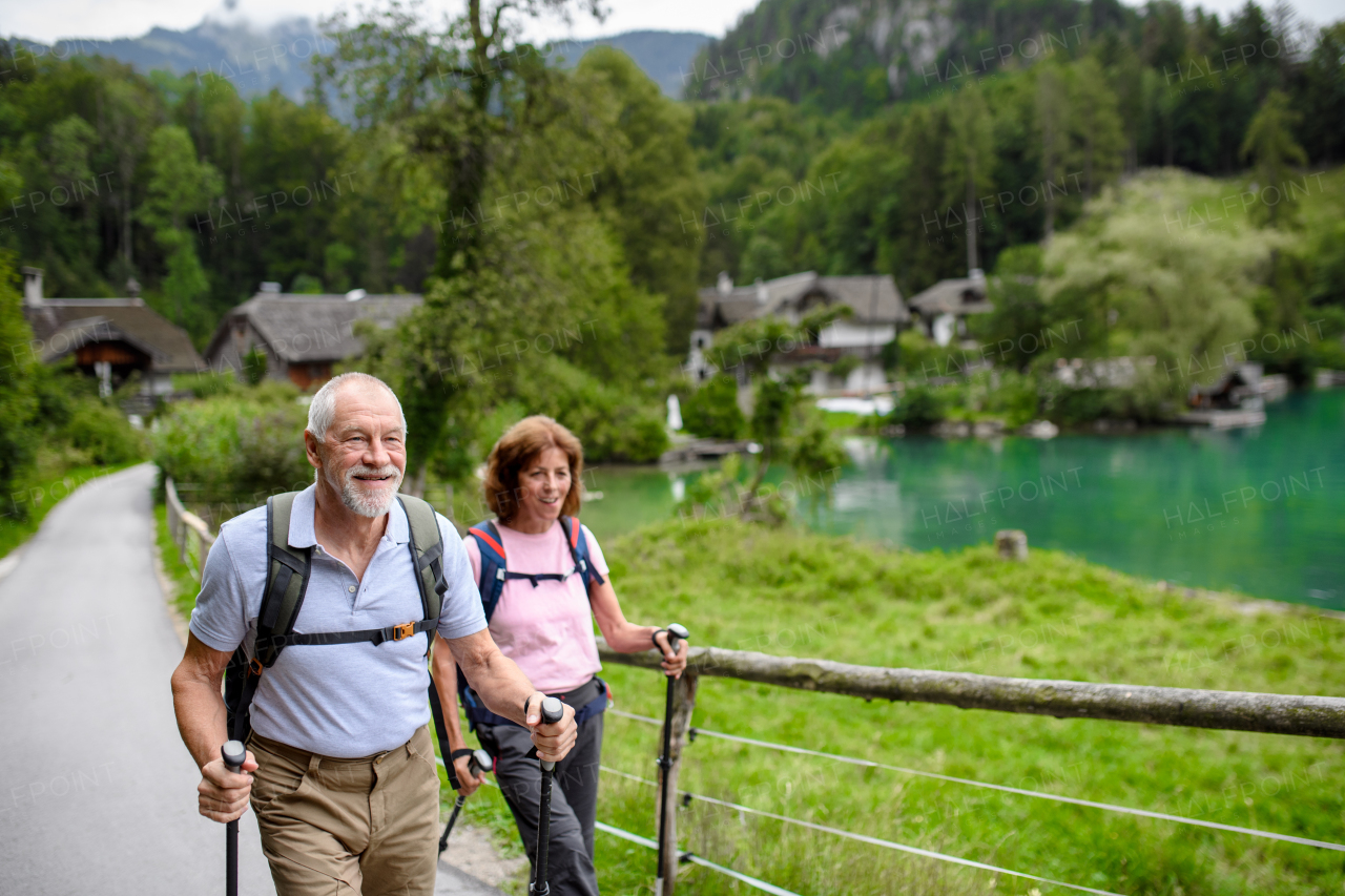 Portrait of active elderly couple hiking together in mountains. Senior tourists walking with trekking poles for stability.