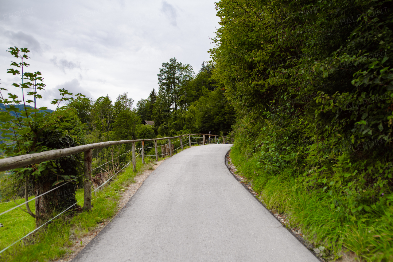 Asphalt road along the forest with a wooden railing.