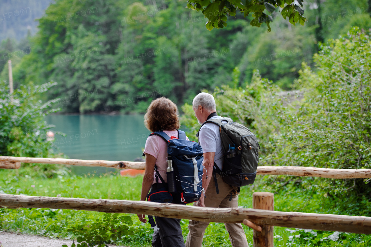 Active elderly couple on trip together, during early spring day. Senior tourists visiting, exploring new places. Sightseeing, holding hands.