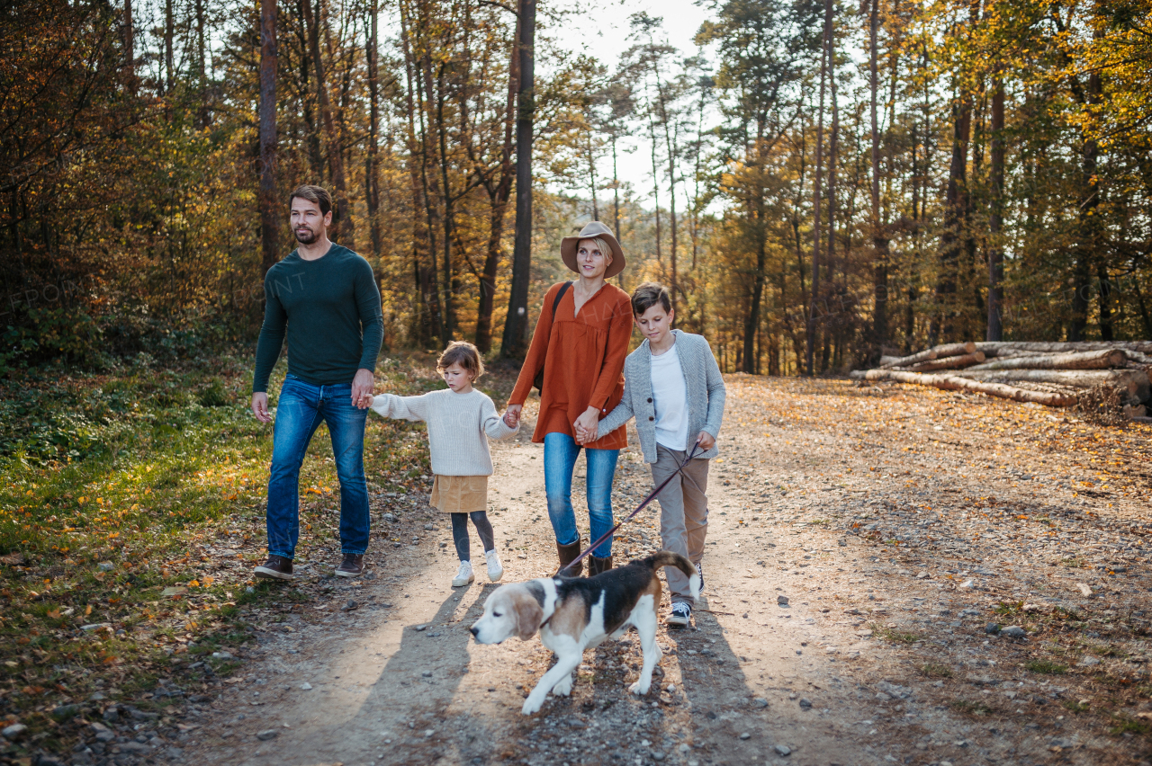 Young family with two kids and dog on a walk in autumn forest and mushroom hunting.