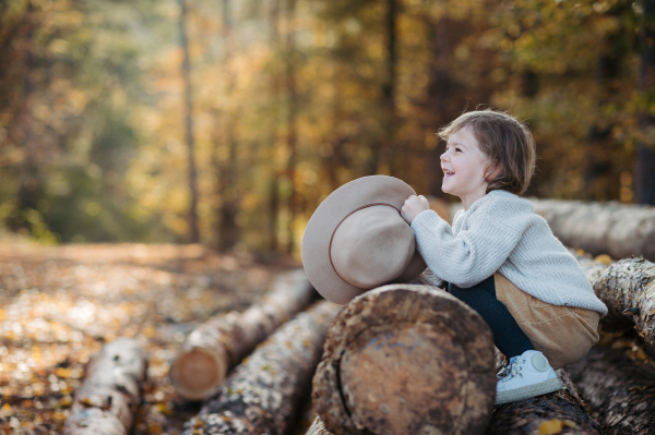 Cute girl with hat sitting on logs in the middle autumn forest, having fun and laughing