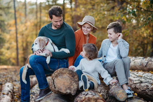 Portrait of family sitting in the middle autumn forest. Nuclear family with dog spending weekend outdoors