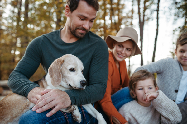 Portrait of family sitting in the middle autumn forest. Nuclear family with dog spending weekend outdoors