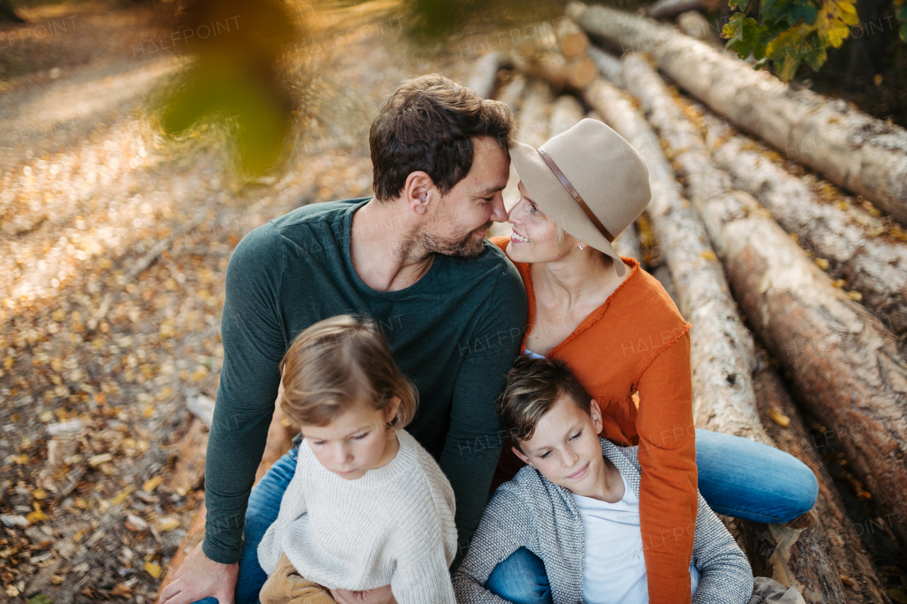 Portrait of family sitting on logs in the middle autumn forest. Nuclear family spending weekend outdoors