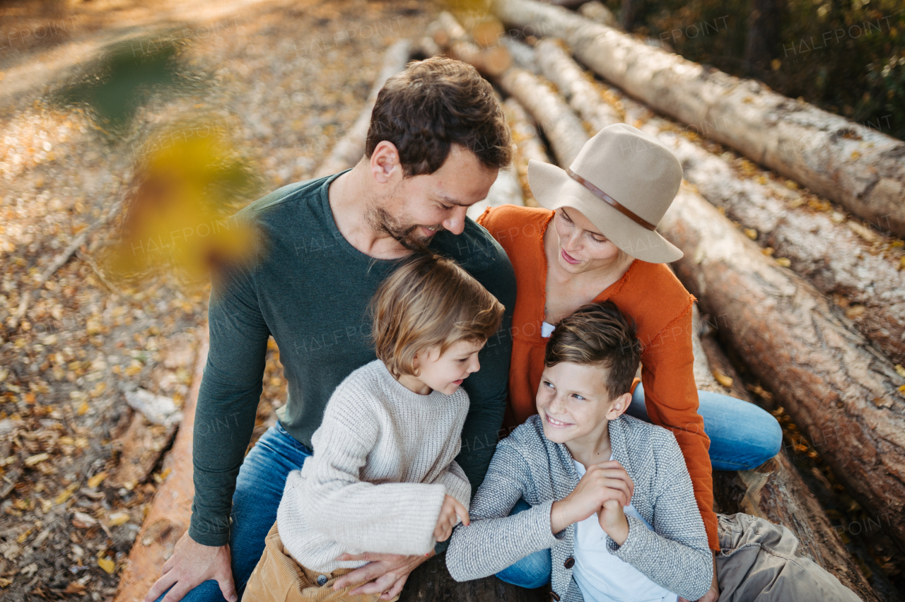 Portrait of family sitting on logs in the middle autumn forest. Nuclear family spending weekend outdoors