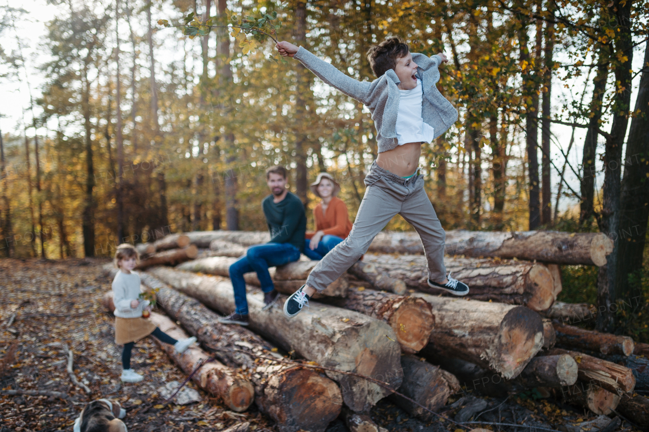 Portrait of family sitting on logs in the middle autumn forest, young boy jumping down, having fun