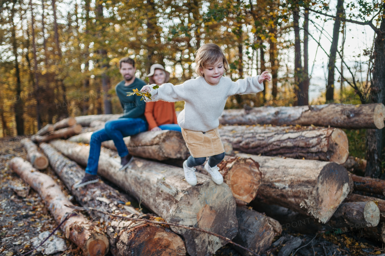 Portrait of family sitting on logs in the middle autumn forest, little girl jumping down, having fun