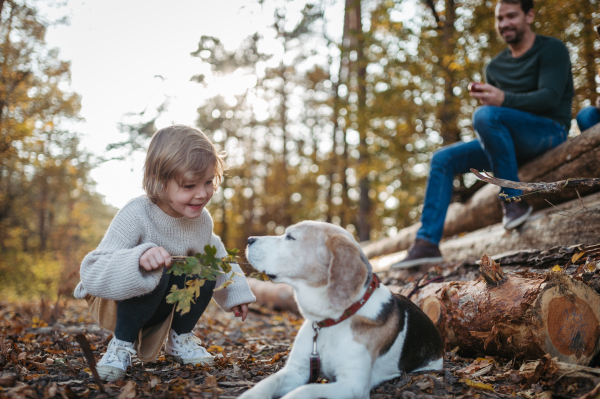 Family on walk resting, sitting on logs in the middle autumn forest. Little girl playing with older dog