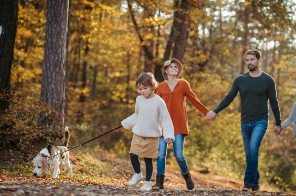 Young family with two kids and dog on a walk in autumn forest and mushroom hunting.