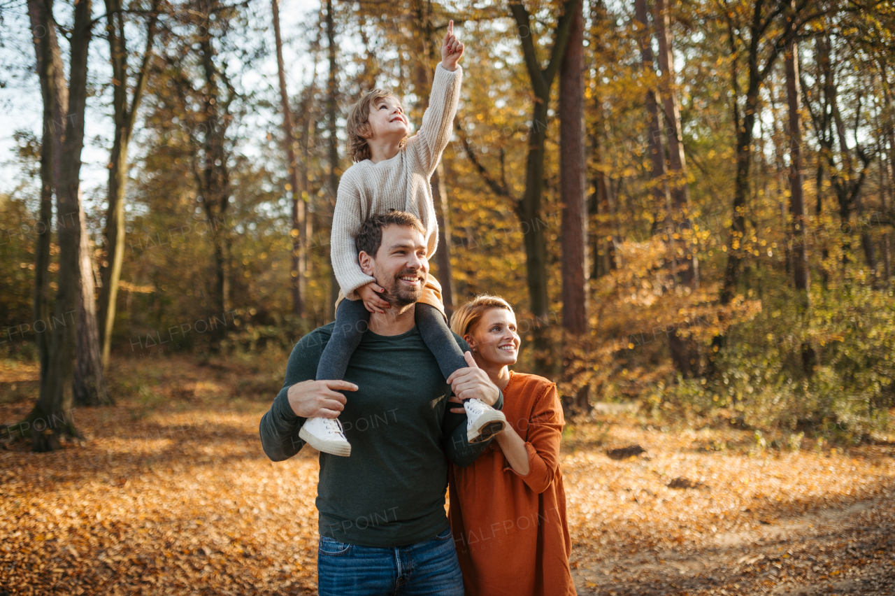 Young family with small children on walk in autumn forest. Father carrying daughter on his shoulders