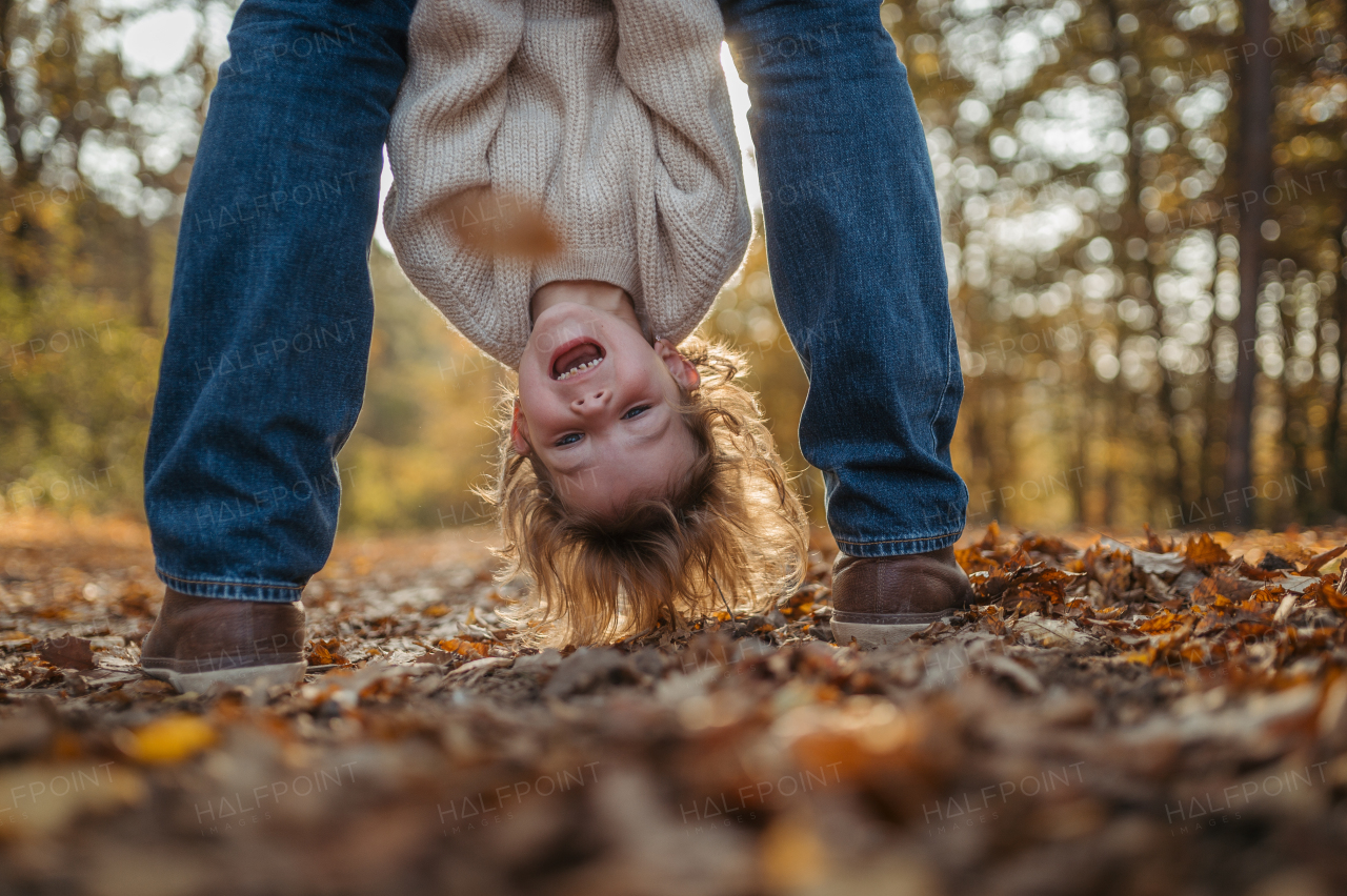 Father and girl are playful during walk in autumn forest. Dad and girl having fun outdoors