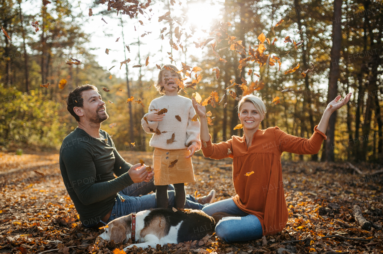 Young family with small children and dog on a walk in autumn forest. Throwing dry colorful leaves in the air