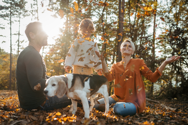 Young family with small children and dog on a walk in autumn forest. Throwing dry colorful leaves in the air