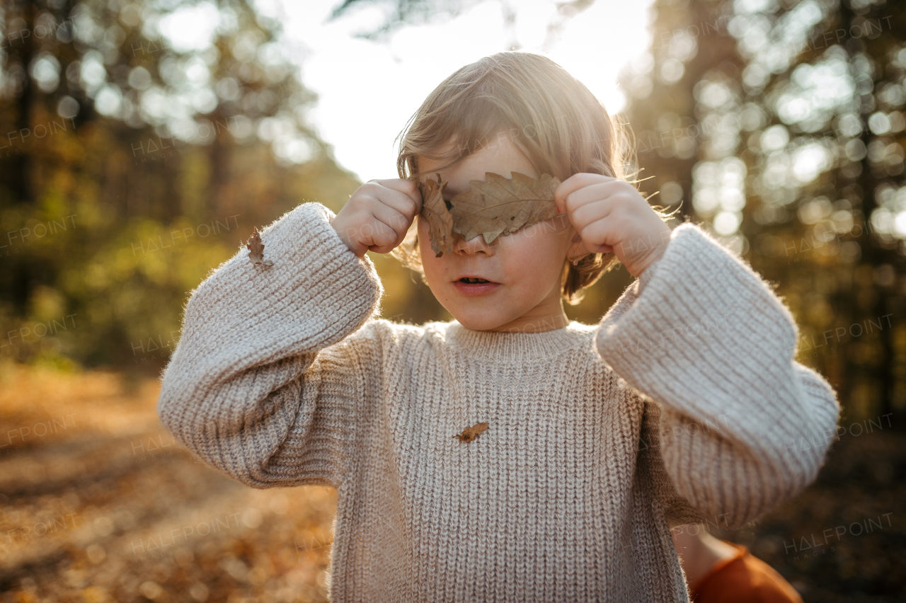 Portrait of cute girl standing in the middle of autumn forest, covering her eyes with dry leaves. Indian summer.