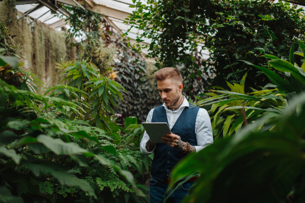 Businessman selling flowers and seedlings, standing in greenhouse, holding tablet. Small greenhouse business.