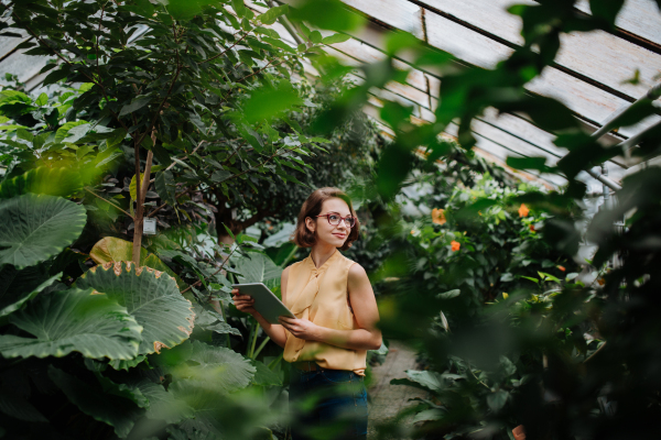 Businesswoman selling flowers and seedlings, standing in greenhouse, holding tablet. Small greenhouse business.