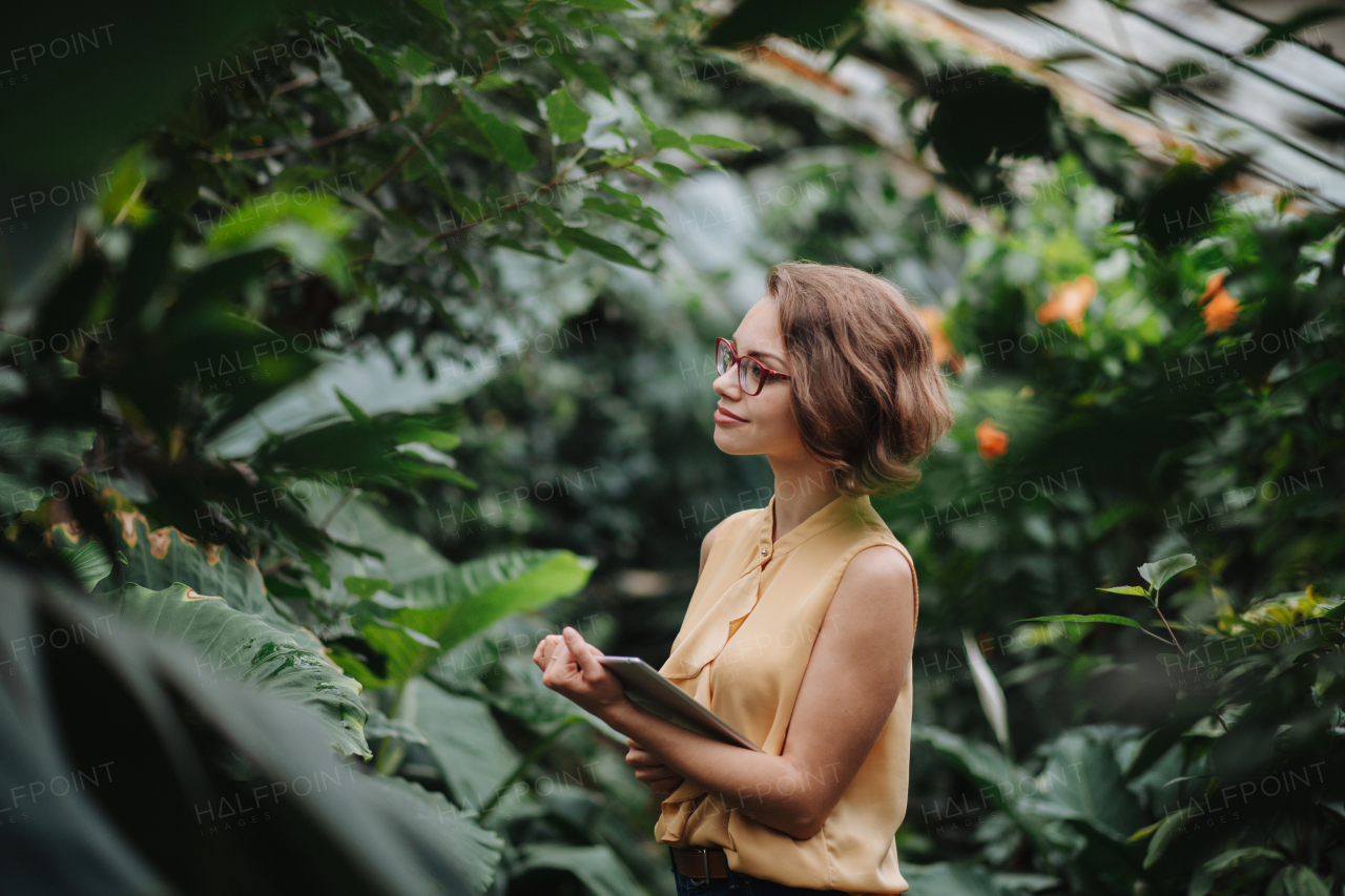 Businesswoman selling flowers and seedlings, standing in greenhouse, holding tablet. Small greenhouse business.